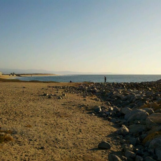 Moss Landing Dog Beach 51 visitors