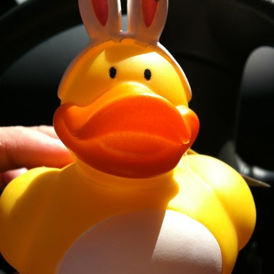 Dollar Tree Discount Store in Virginia Beach