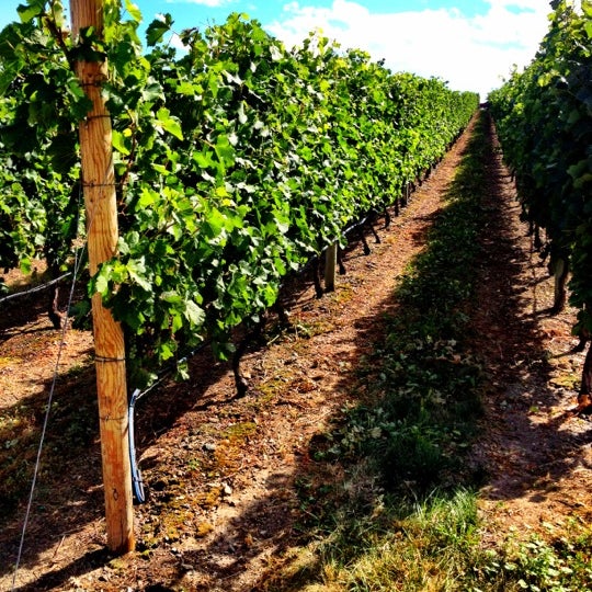 Foto diambil di Hester Creek Estate Winery oleh Nicola P. pada 8/24/2012