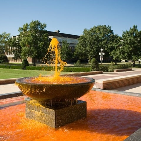 Помидоры оранжевый фонтан. Черри сладкий фонтан. Оранжевый фонтан. Оранжевый фонтан. Оранжевый фонтан описание.