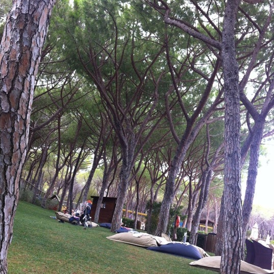 8/31/2012にLavinia N.がRiva del Sole Resort &amp; SPAで撮った写真