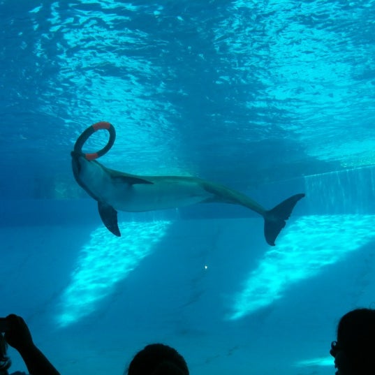 Foto tirada no(a) Texas State Aquarium por Ashley M. em 7/6/2012