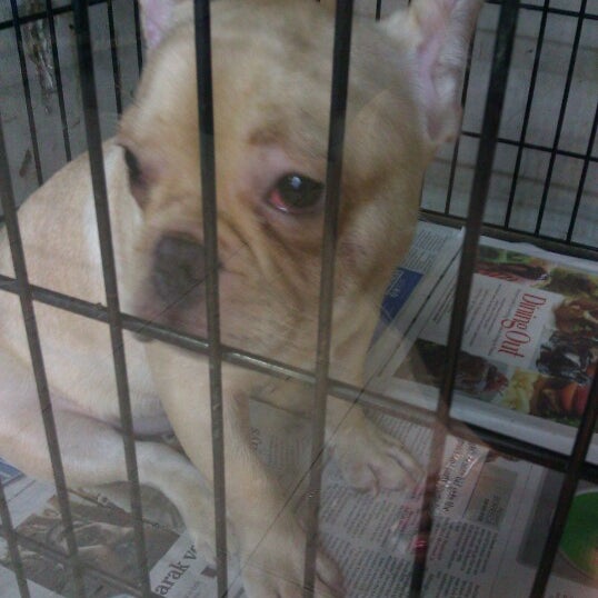 Photos at Kalihi Pet Center Pet Supplies Store in Honolulu