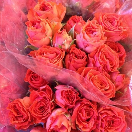 Photo taken at Rubia Flower Market by Sarah L. on 8/23/2012