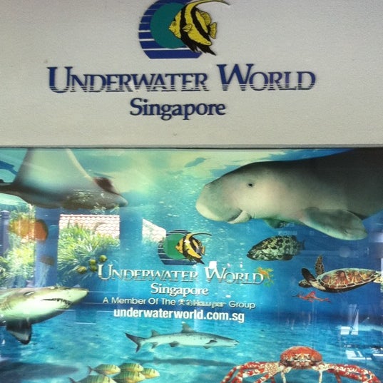 Photo taken at Underwater World And Dolphin Lagoon by Jayce L. on 2/26/2011