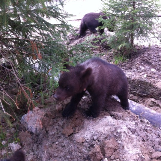 База отдыха сказка нефтеюганск