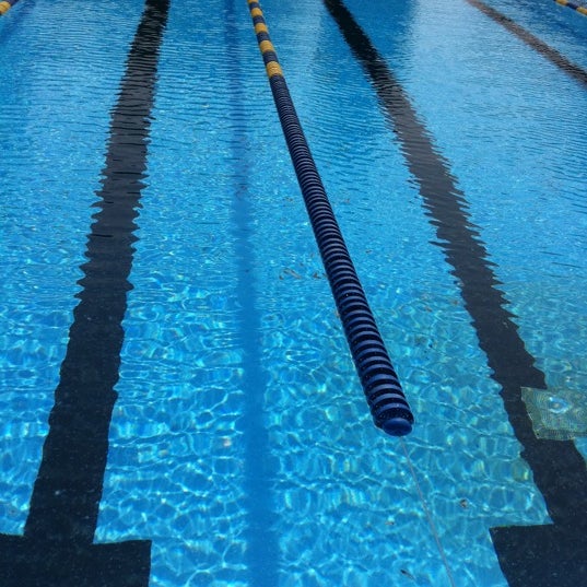 Palisades Park Swim Club Bergen에서 수영장일에서의 사진