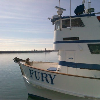 1/3/2012 tarihinde Thomas W.ziyaretçi tarafından Dana Wharf Whale Watching'de çekilen fotoğraf