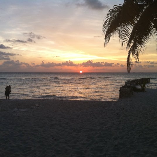 Buho's Swing Bar Cocktail Bar in Isla Mujeres