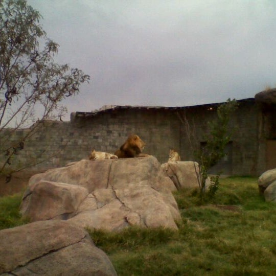 Photo taken at El Paso Zoo by Barron M. on 9/8/2011