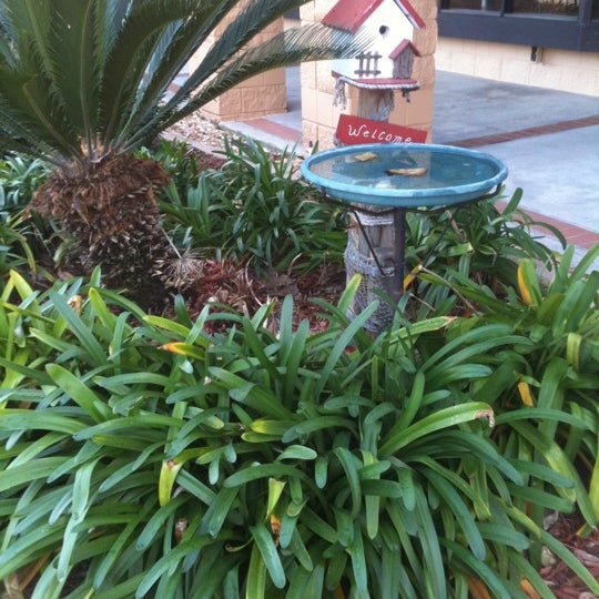 Wild Birds Unlimited Beaches Jacksonville Beach, FL