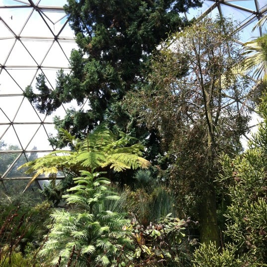 47+ Düsseldorf Botanischer Garten, Er vermittelt die bedeutung der