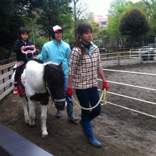 代々木ポニー公園 Park In 明治神宮
