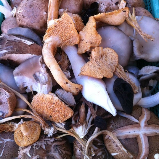 Calabasas Farmer's Market 30 tips