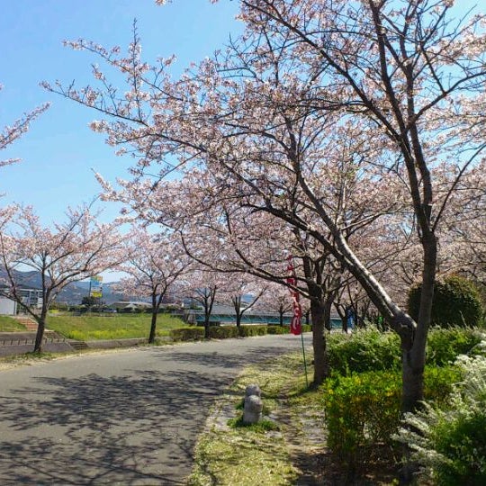 久留米百年公園 4 Tavsiye