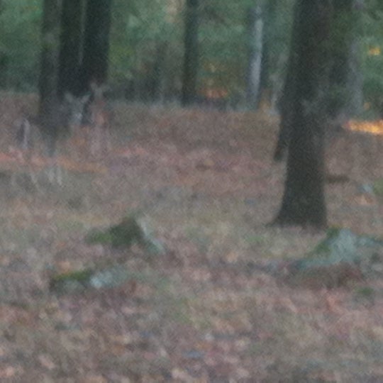 H&P Cabins Hulbert, OK