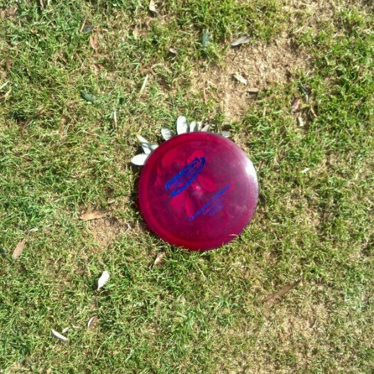 Polliwog Park Disc Golf Course Disc Golf in Manhattan Beach