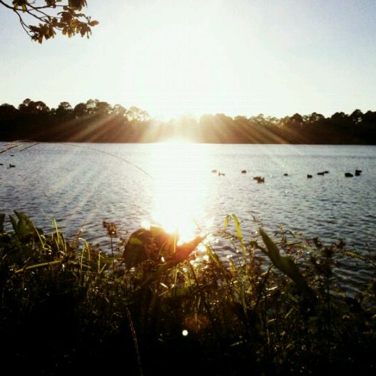 Lake Loretta Lake Park Albany, GA