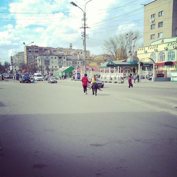 Васильків