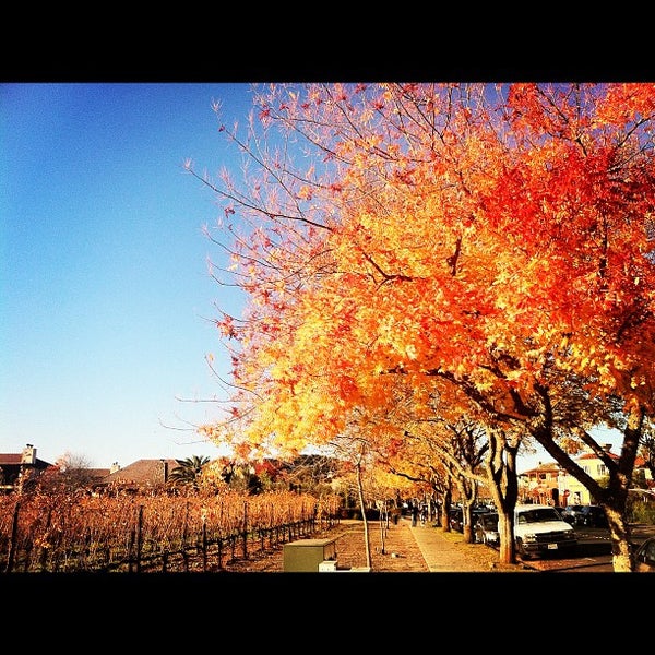 Photo taken at The Estate Yountville by Elton L. on 12/4/2011