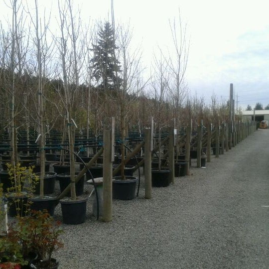 Photos At Loen Nursery Inc Sherwood Tualatin North 31 Photos At Loen Nursery Inc Sherwood Tualatin North 31