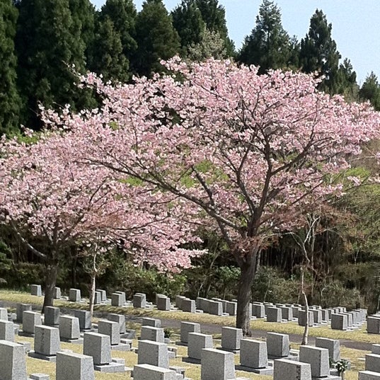 Photos At 富士桜自然墓地公園 Cemetery