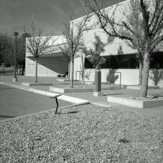 Esther Bone Library 2 tips from 54 visitors