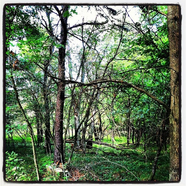 Towamensing Trails Teepee Albrightsville, PA