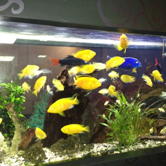 That's Amore Pizza (Now Closed) 2526 Hillsborough St