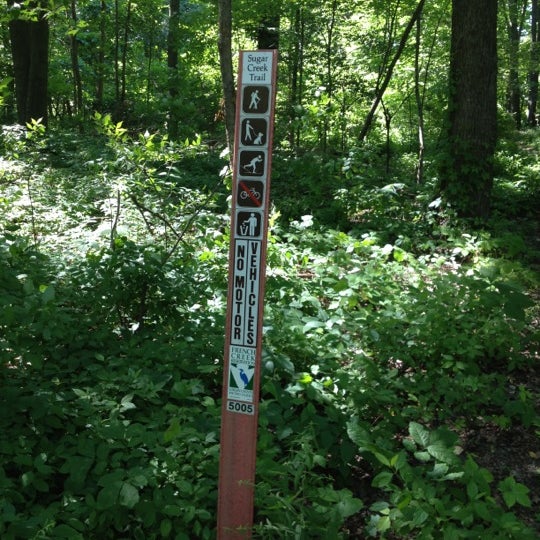 Pine Tree Picnic Area 1 Sheffield Lake Oh