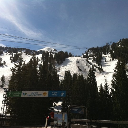 Snowbird 6