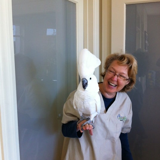 Exotic Vet Care Veterinarian