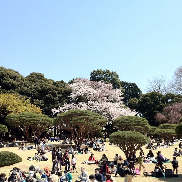 日本庭園 Garden In 新宿区