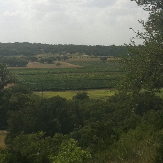 7/3/2012 tarihinde Lauren E.ziyaretçi tarafından Driftwood Estate Winery'de çekilen fotoğraf