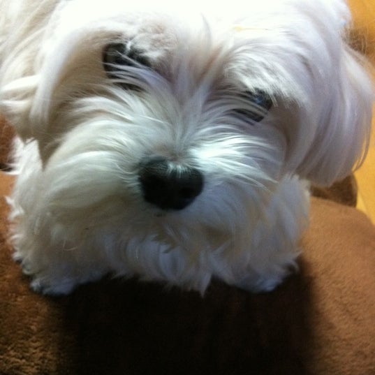 てもみん 新宿駅東口店 Massage Studio In 西新宿