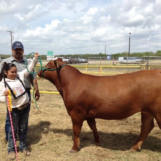 Rio Grande Livestock Show Steer Barn