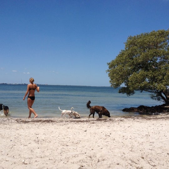 Picnic Island Beach