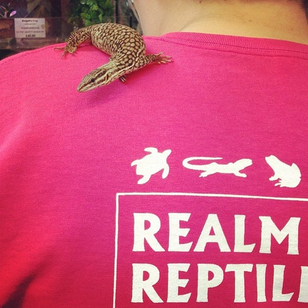 Photo taken at Northampton Reptile Centre by Gary R. on 8/30/2012