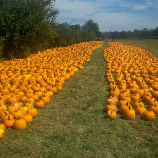 Tougas Family Farm 27 tips from 1335 visitors