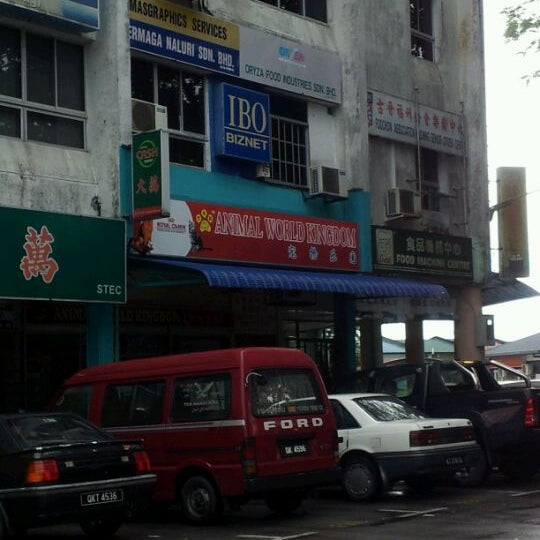 Animal World Kingdom King Centre 4 Tips