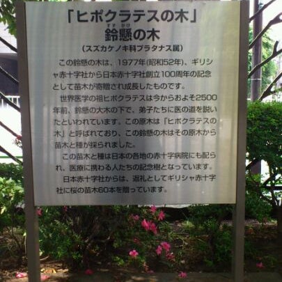 Photos At ヒポクラテスの木 Historic Site In 芝公園