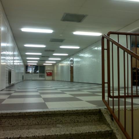 первая школа костомукша. костомукша школа 2. школа 1 костомукша. костомукша школа 2. первая школа костомукша.