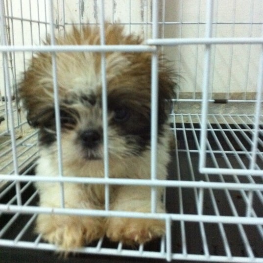 Photos At Ezys Pet Feeds Shops Pet Store