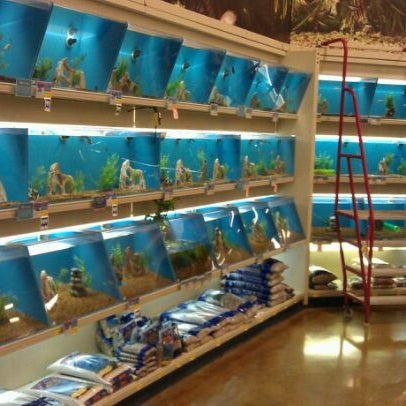Petsmart natomas outlet