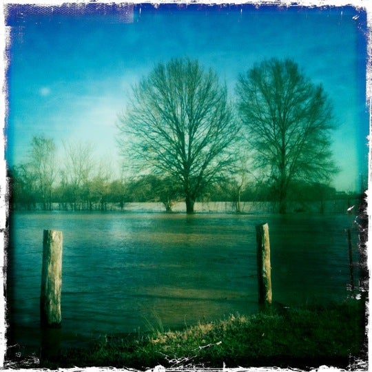Bud Hill Disc Golf Course Memphis TN
