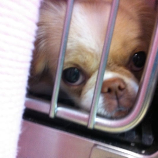 Photo taken at Veterinary Medical Clinic by Madison M. on 12/3/2011