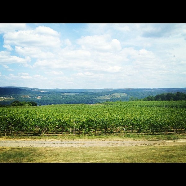Foto tirada no(a) Lakewood Vineyards por Krissy G. em 7/14/2012