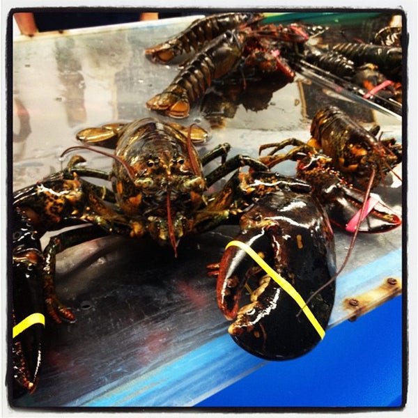 Das Foto wurde bei Cape Tip Seafood &amp; Lobster Market von Craig C. am 8/22/2012 aufgenommen