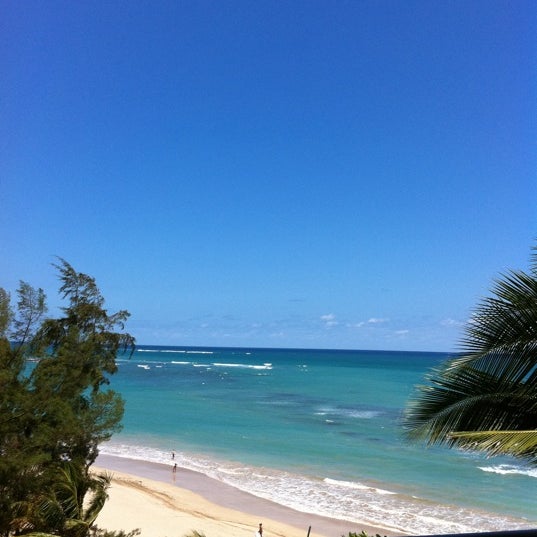 Pine Grove Beach Sörf Noktası