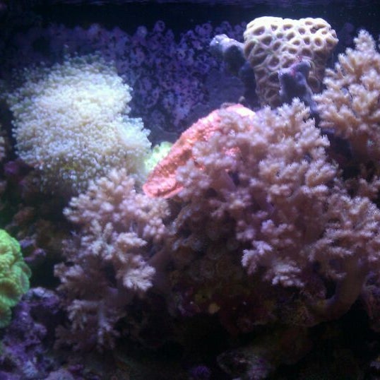 Photo taken at Old Town Aquarium by Lady TMarie H. on 10/8/2011